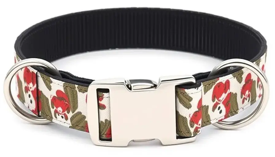 Stylish Pet Collar